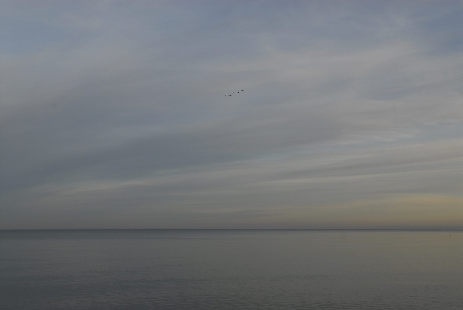 Landschaft auf Mönchgut, Rügen – Bild 19