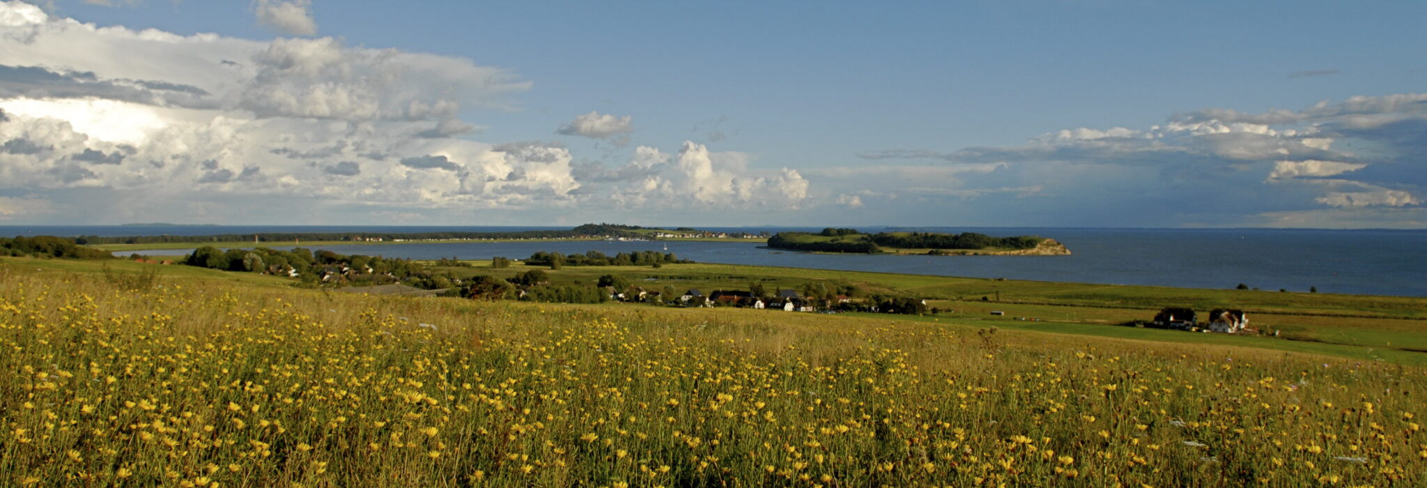 Landschaft auf Mönchgut, Rügen – Bild 8