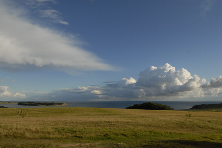 Landschaft auf Mönchgut, Rügen – Bild 26