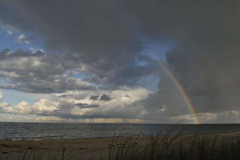 Landschaft auf Mönchgut, Rügen – Bild 35
