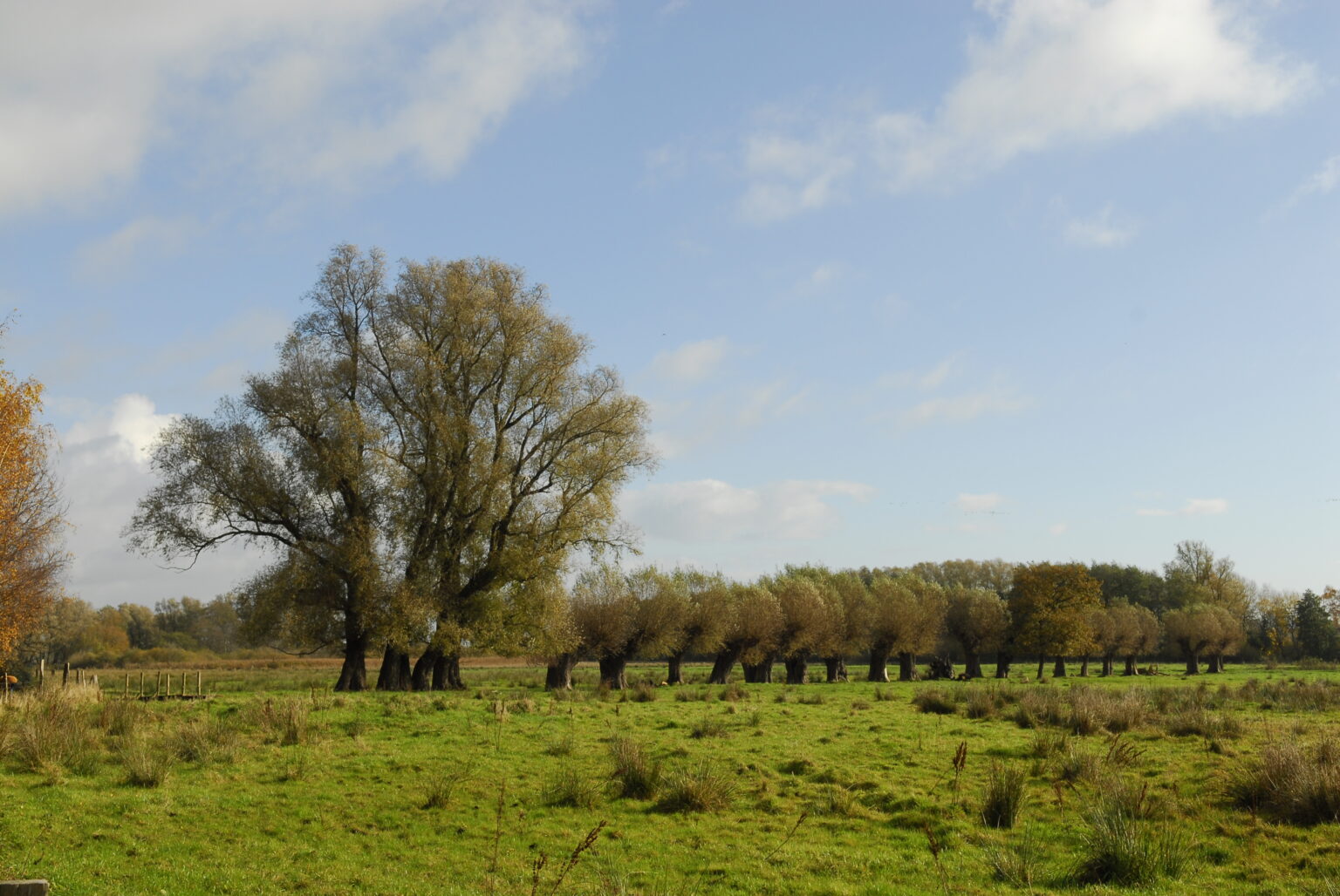 Landschaft auf Mönchgut, Rügen – Bild 12