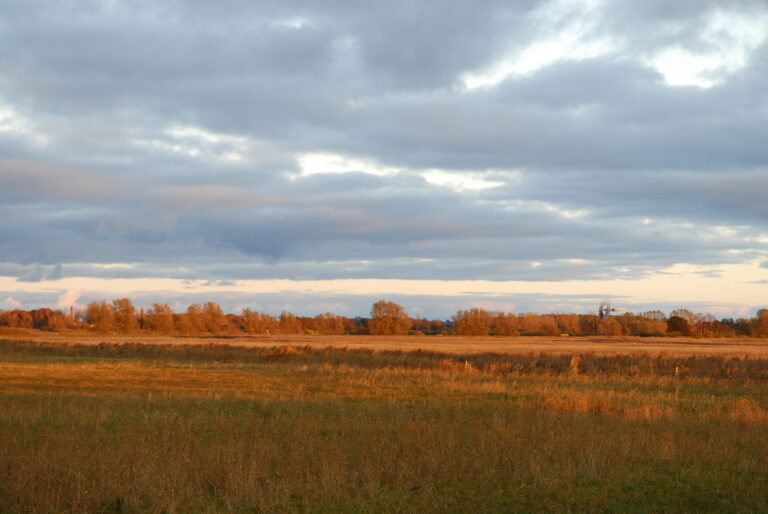 Landschaft auf Mönchgut, Rügen – Bild 25