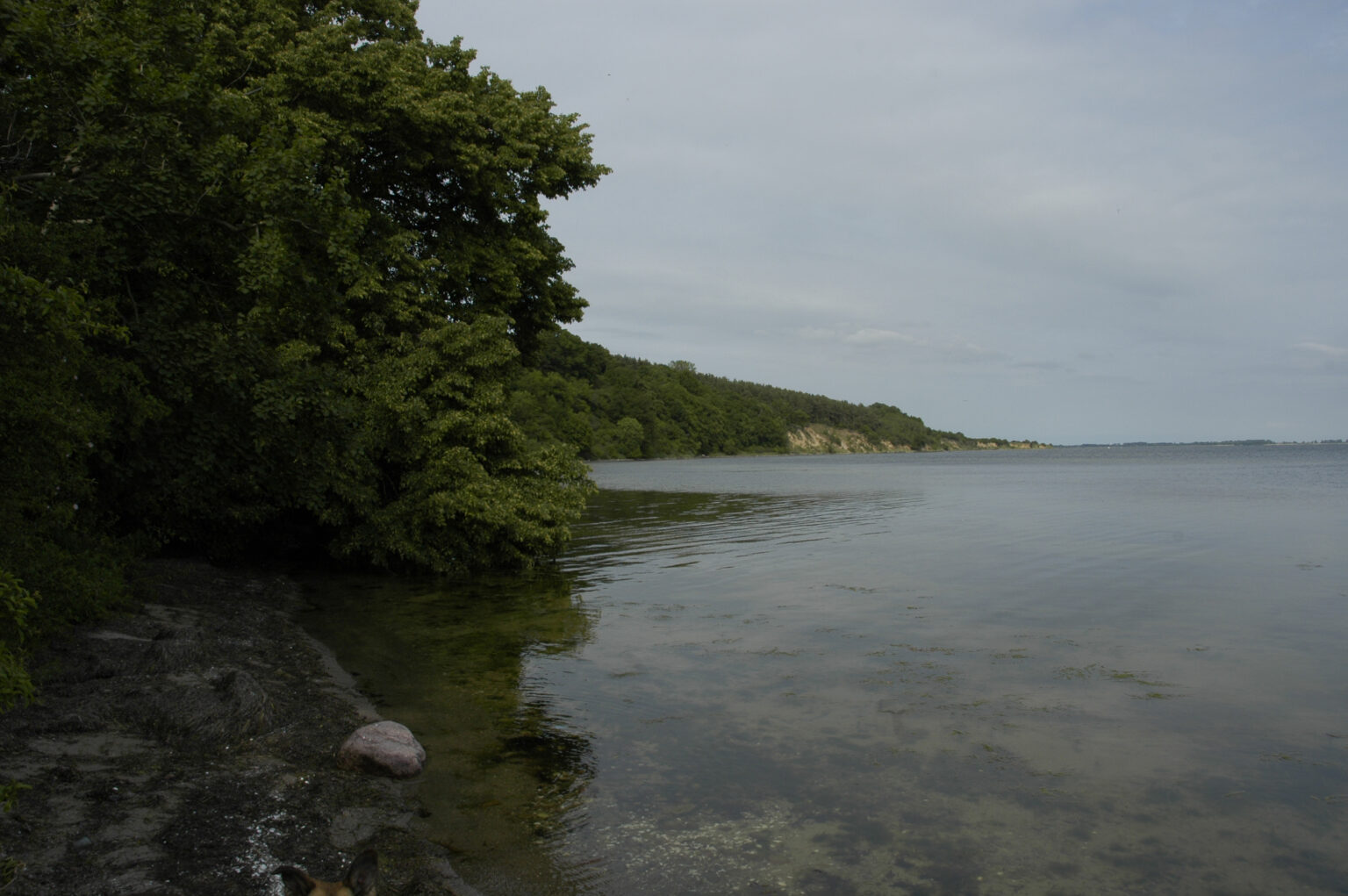 Landschaft auf Mönchgut, Rügen – Bild 34