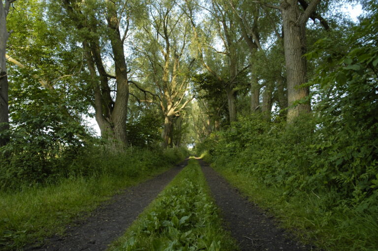 Landschaft auf Mönchgut, Rügen – Bild 33