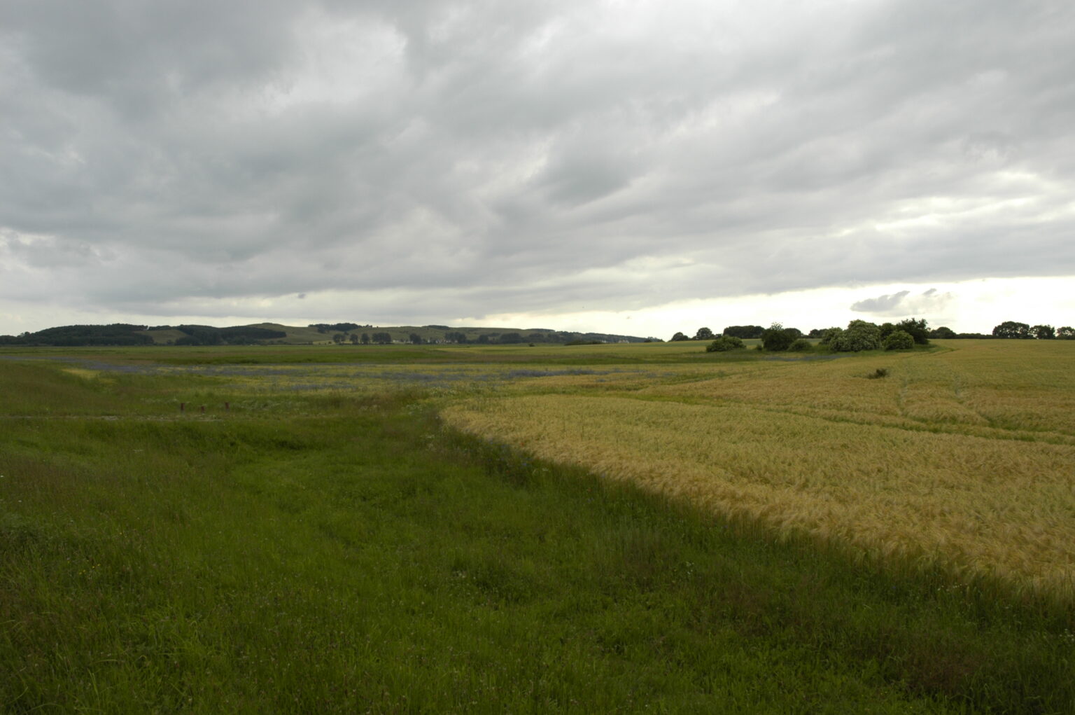 Landschaft auf Mönchgut, Rügen – Bild 14