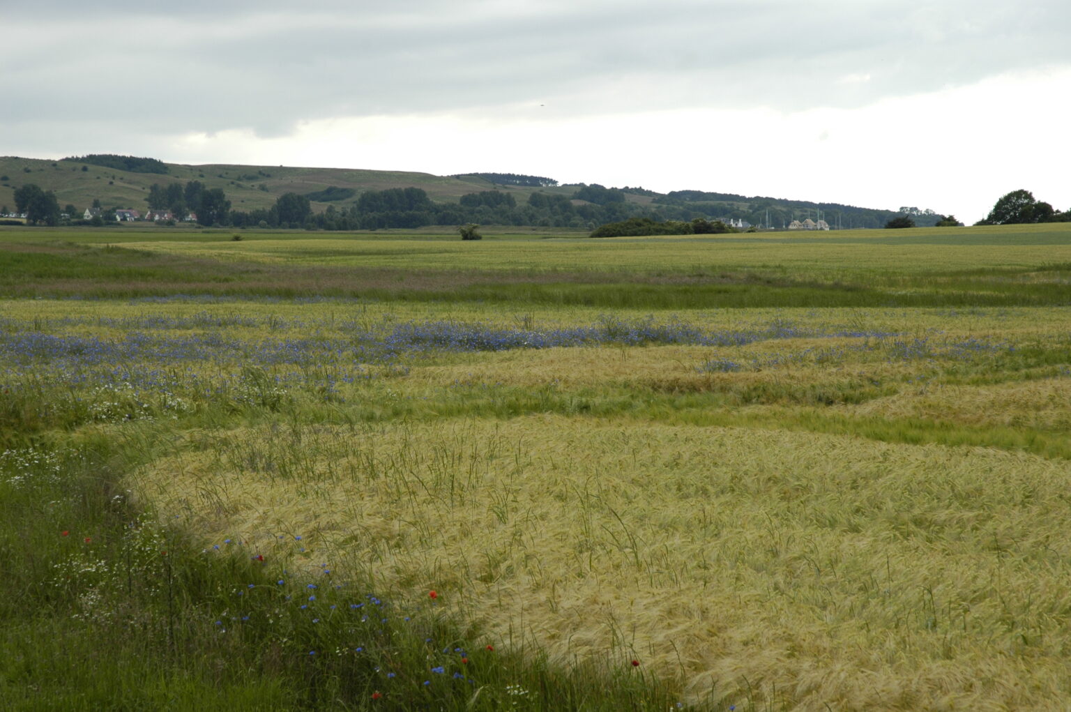 Landschaft auf Mönchgut, Rügen – Bild 31