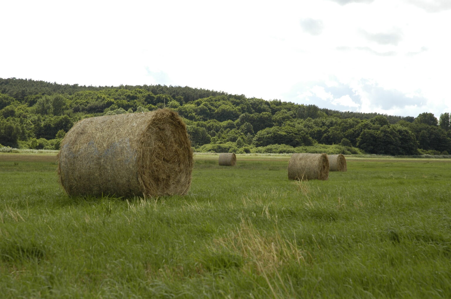 Landschaft auf Mönchgut, Rügen – Bild 6