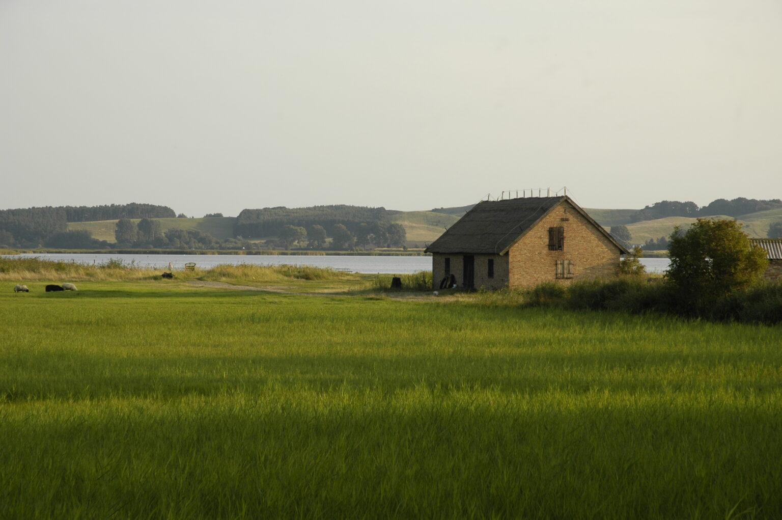 Landschaft auf Mönchgut, Rügen – Bild 30