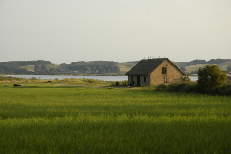 Landschaft auf Mönchgut, Rügen – Bild 30