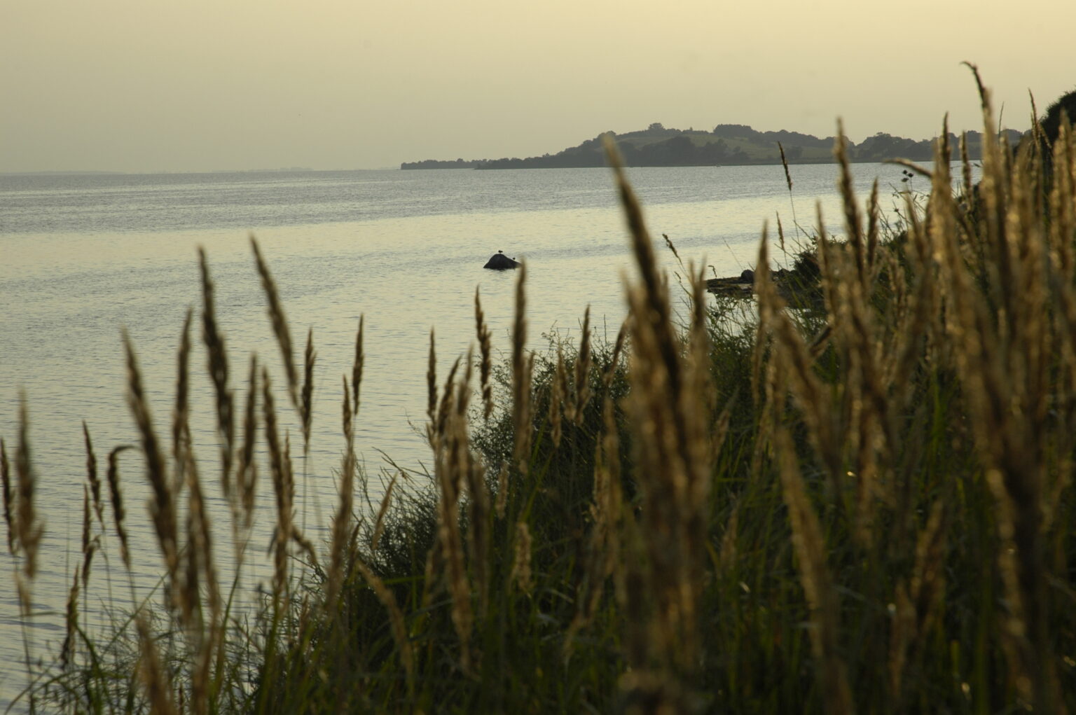 Landschaft auf Mönchgut, Rügen – Bild 11